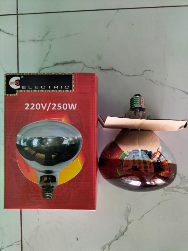 250w chicken bulb