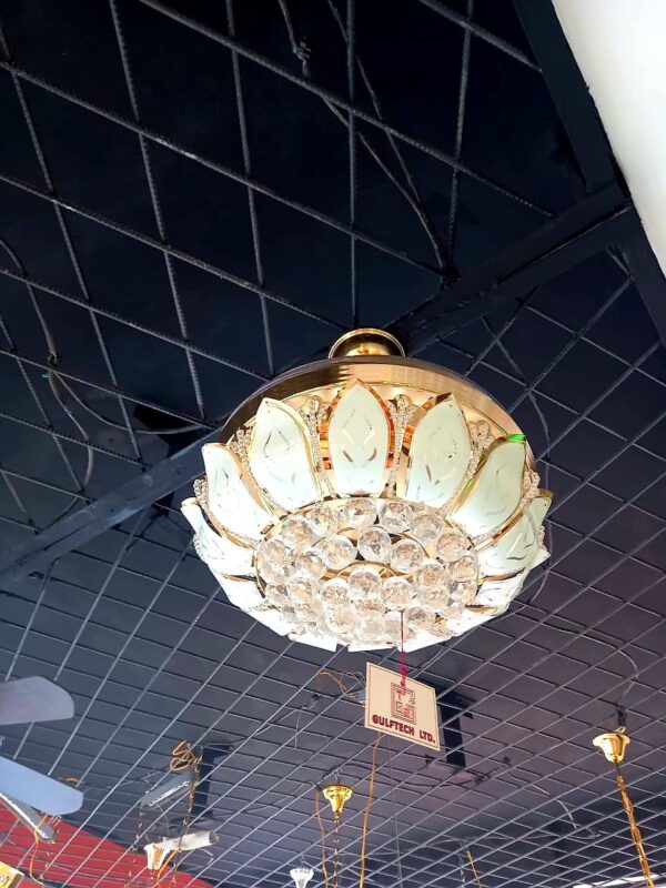 Ceiling light with fan