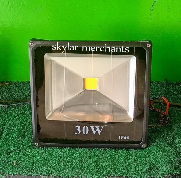 electrical floodlight